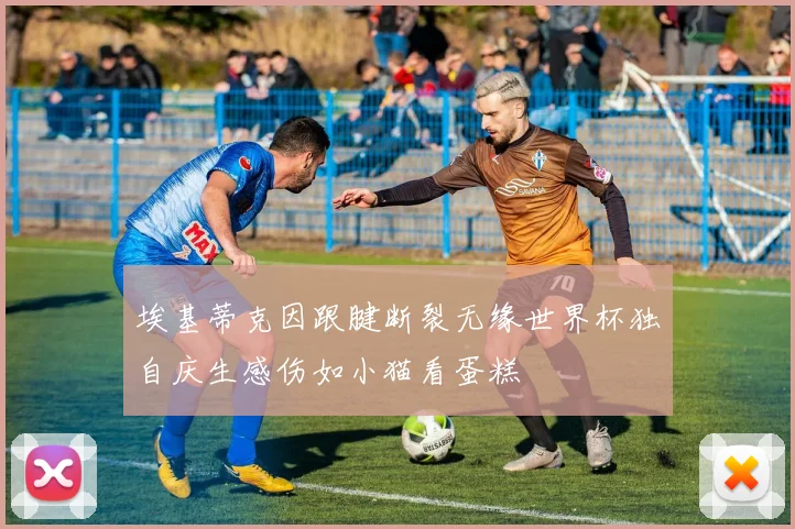埃基蒂克因跟腱断裂无缘世界杯独自庆生感伤如小猫看蛋糕