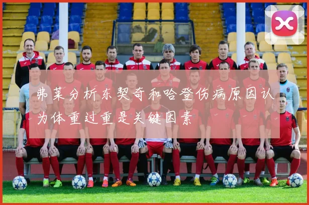 弗莱分析东契奇和哈登伤病原因认为体重过重是关键因素
