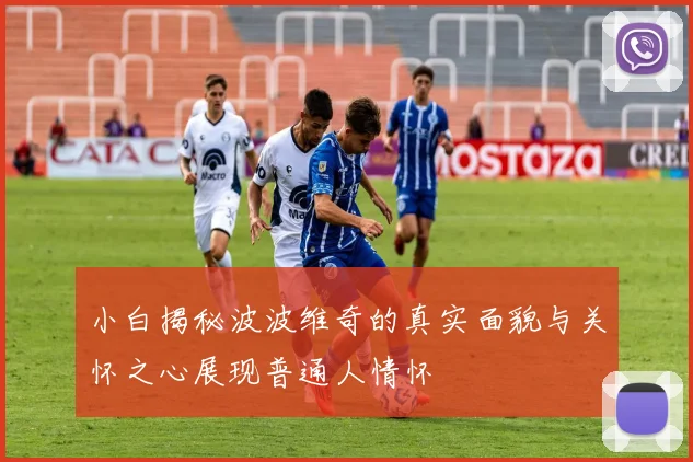 小白揭秘波波维奇的真实面貌与关怀之心展现普通人情怀