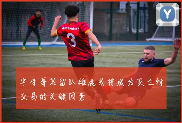 字母哥若留队雄鹿或将成为莫兰特交易的关键因素